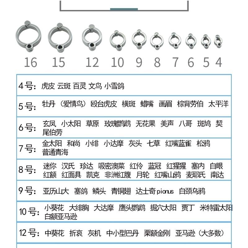 不锈钢蛇骨高档宠物用品鸟脚链玄凤鹦鹉八哥虎皮牡丹开口脚环大型,宠物/宠物食品及用品,鸟禽其他,淘宝优惠券,粉丝福利购,淘宝优惠卷