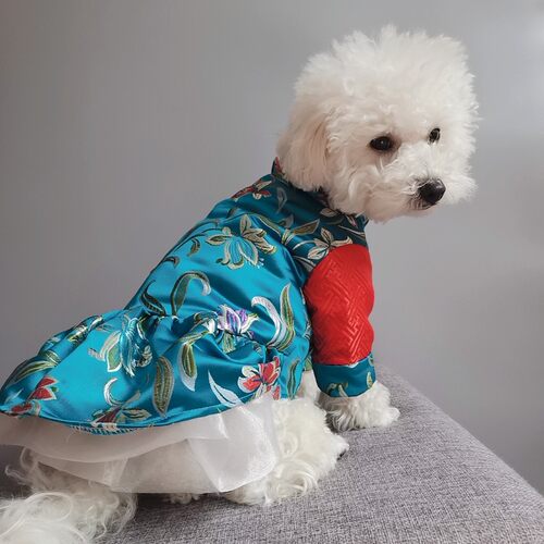 宠物狗唐装礼裙子纸样新年装连衣裙图纸雪纳瑞比熊喜庆汉服模版