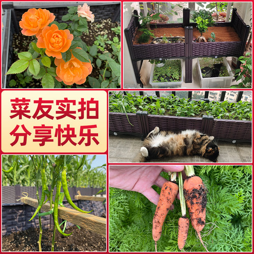 高脚长方形种植箱塑料种菜专用箱户外加厚花盆花箱加高阳台种菜盆