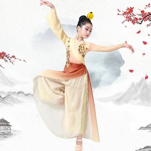 古典演出服女2024新款飘逸剧目寒依疏影儿童舞蹈服装表演服