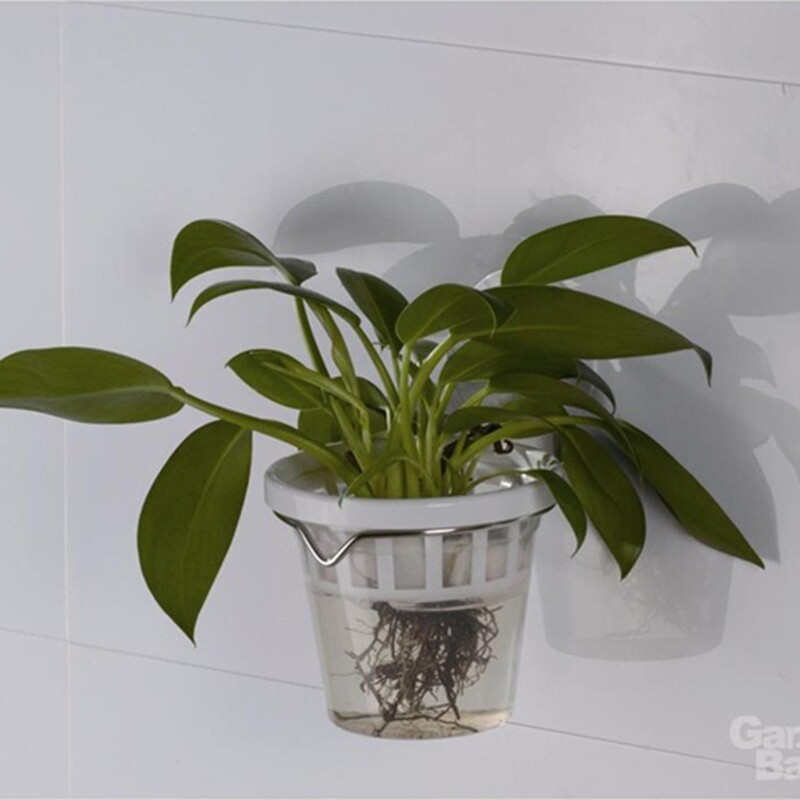 嘉宝吸盘水养花盆塑料创意壁挂办公室绿萝盆栽水培吊兰植物架室内