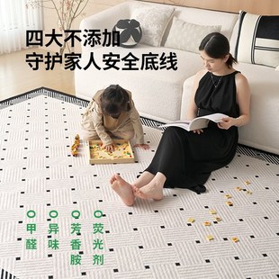 轻奢高级可机洗可拆洗奶油风沙发地垫大面积全铺 地毯客厅2024新款