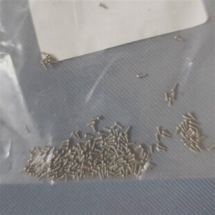 颅骨钉脑电极螺丝钉大小鼠动物配合脑部固定手术脑波微锚定不锈钢