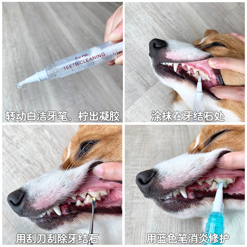 宠物狗狗去牙结石神器除口臭牙垢口腔清洁工具柯基柴犬洁牙美牙笔