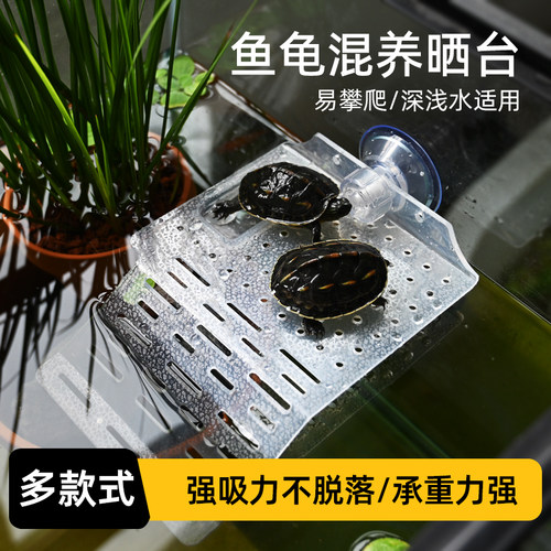 乌龟晒背爬台高水位壁挂式休息平台深水剃刀龟亚克力吸盘爬梯浮台