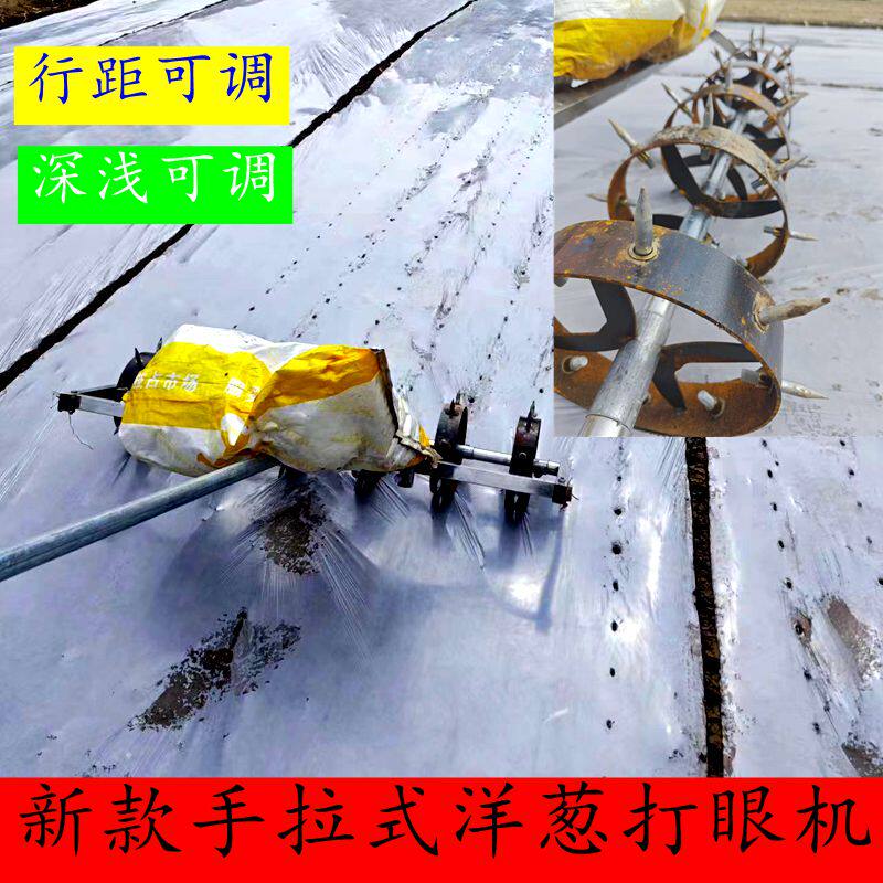 种植洋葱打眼机地膜打孔种洋葱神器洋葱扎眼种植农用工具