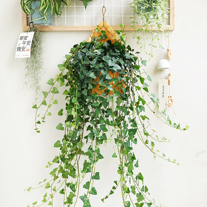 北欧编织篮田园壁挂花篮厨房姜蒜收纳筐复古手提杂货厨具阳台挂篮