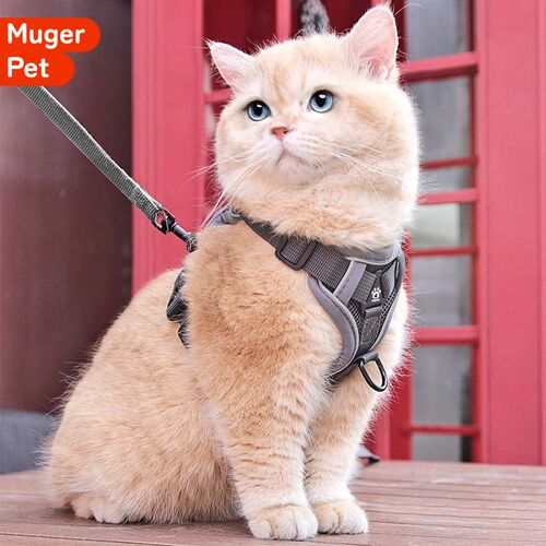 猫咪牵引绳防挣脱外出专用小猫背心式可调节遛猫绳宠物不勒脖背带