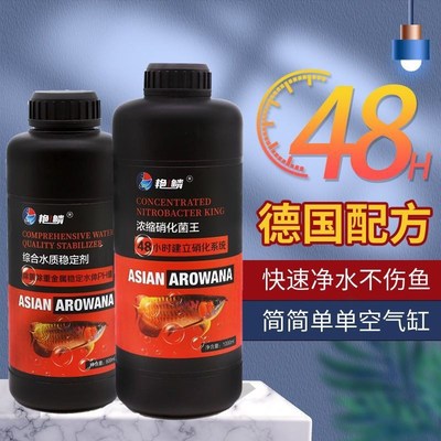 艳鳞硝化细菌王超浓缩鱼缸水质稳定剂高活性益生菌净化水质空气缸