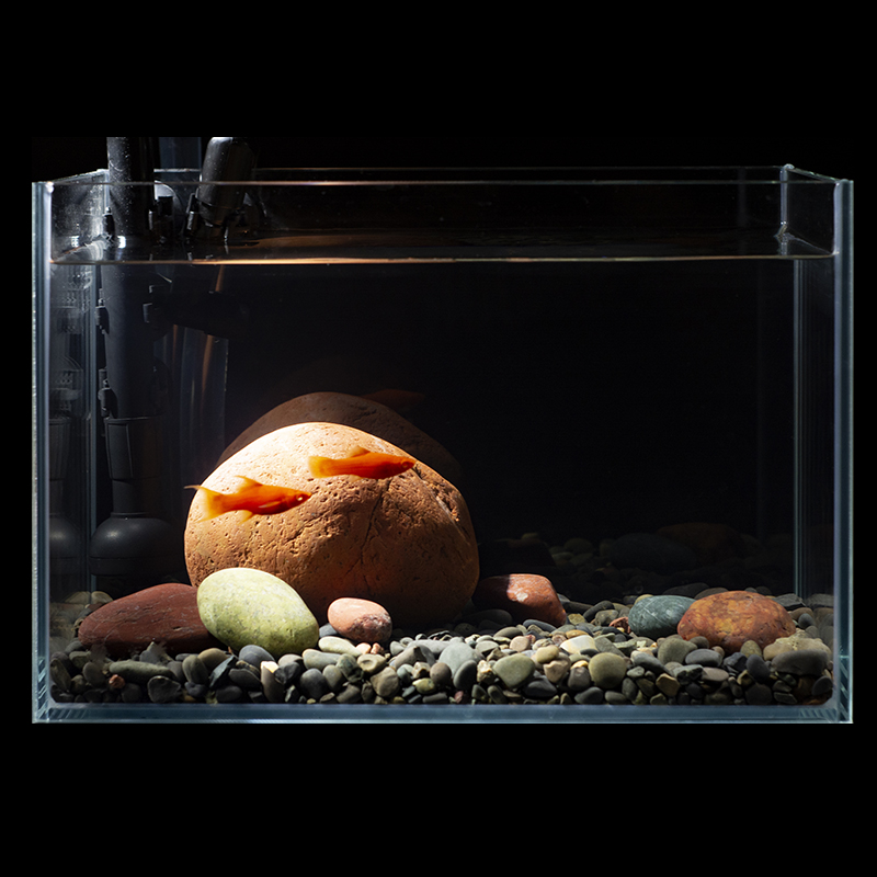 热销景中石小鱼缸造景天然长江鹅卵石布景三湖原生迷你彩石造景套