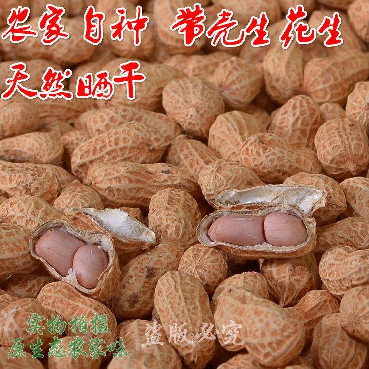 2025年新鲜晒干带壳带皮生花生可发芽做种子榨油江西农家本地自种