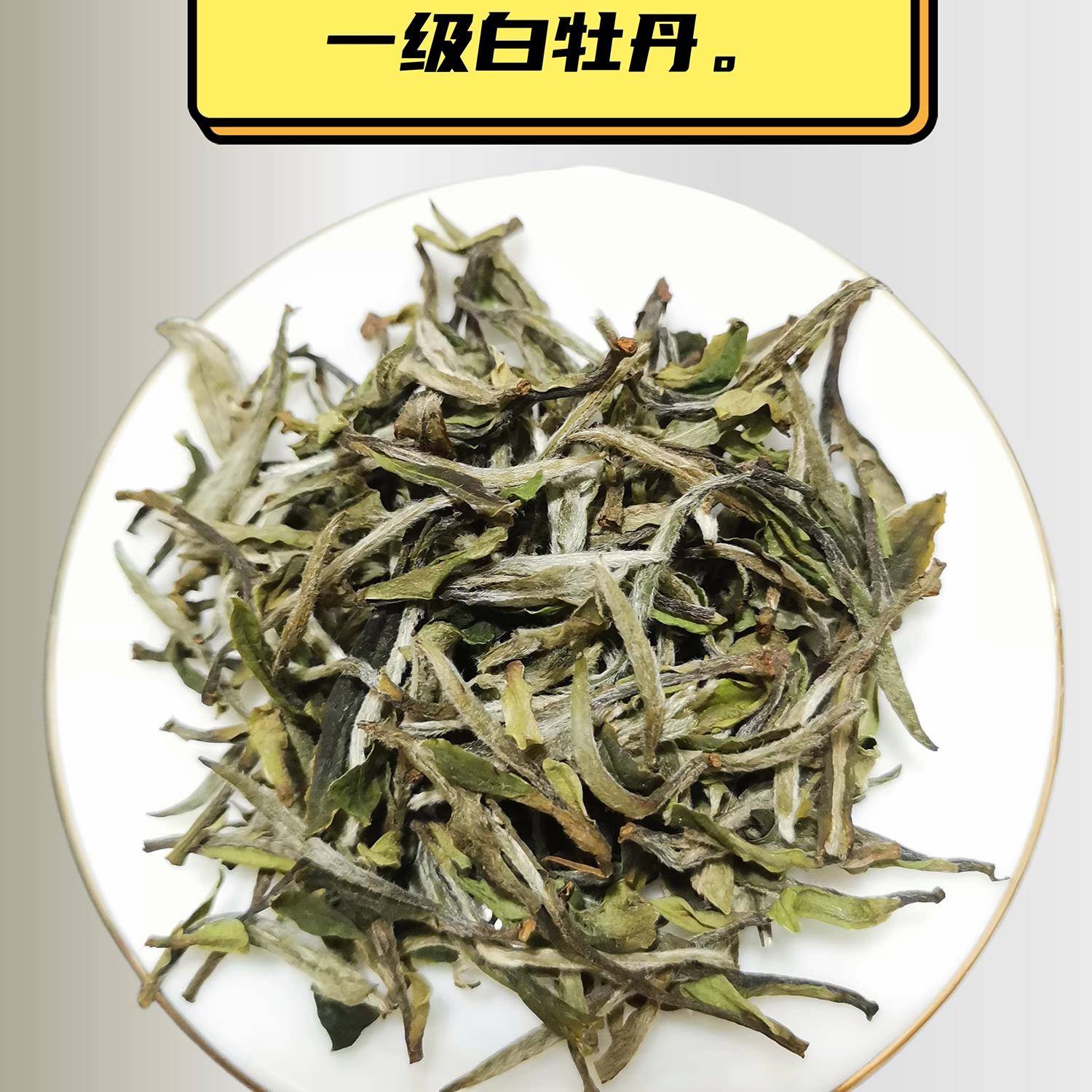 2023年新茶政和白茶明前一级白牡丹一芽一两叶散茶袋装