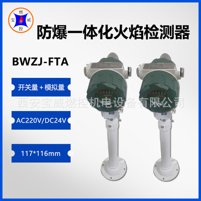 BWZJ-FTA防爆电石炉尾气检测仪