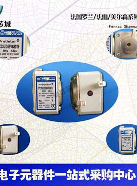 PC33UD69V450TF W302170 PC33UD69V500TF V300076法国罗兰熔断器