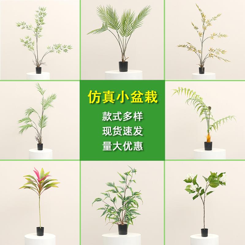 仿真绿植小盆栽居家室内餐桌假植物装饰摆件室外摄影道具仿生造景