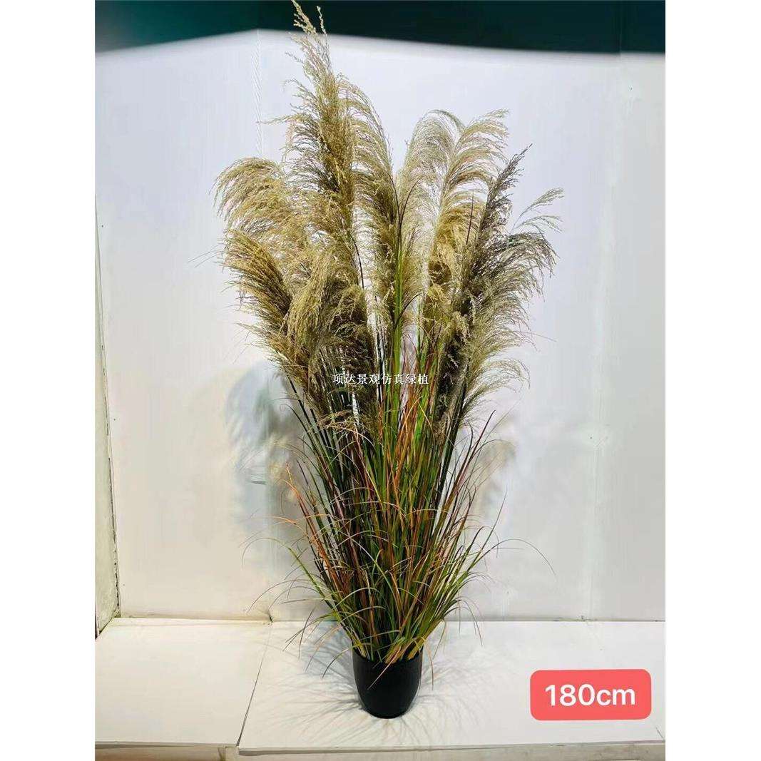仿真芦苇盆栽园林造景活动设计落地摆件橱窗楼梯间人造蒲苇假绿植