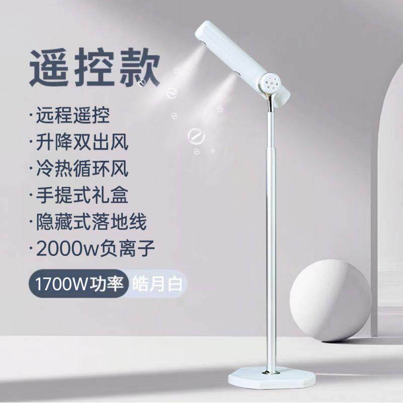 台湾110v韩国220v香港新马来负离子干发高速立式吹风机落地电吹风
