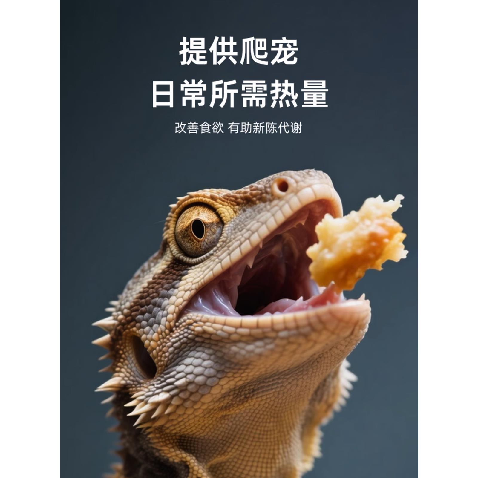 爬宠UVA磨砂加热暖光太阳灯爬虫箱日间保温控温饲养箱晒背缸专用