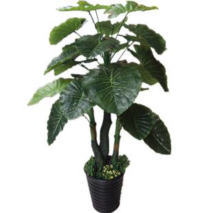 包邮彷真树盆景高彷盘龙滴水观音大气人造植物花卉落地客厅