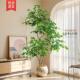 大型盆栽彷真绿色植物假植物轻奢客厅装 饰树室内幸福树落地摆件彷
