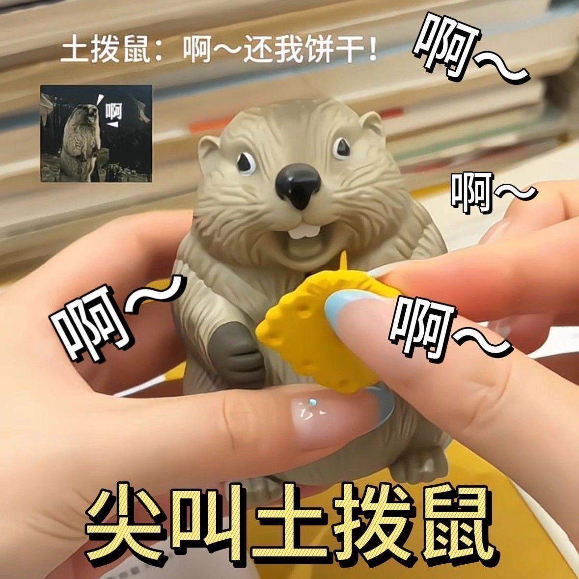 尖叫土拨鼠整蛊摆件抽象大叫发声玩具搞怪恶搞抢饼干解压创意摆件