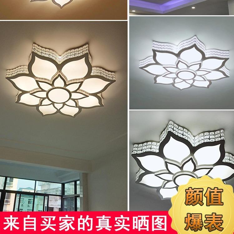 直销新款LED吸顶灯饰异形铁艺浪漫温馨大气简约客厅卧室书房间荷