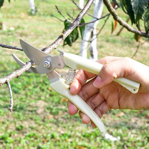 新款直销不锈钢塑胶柄果树修枝剪 剪枝剪刀 园林园艺工具剪刀