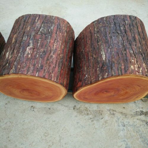 特价香椿木原木墩子实木茶几凳大板底座原木树墩子原木树桩木桩凳