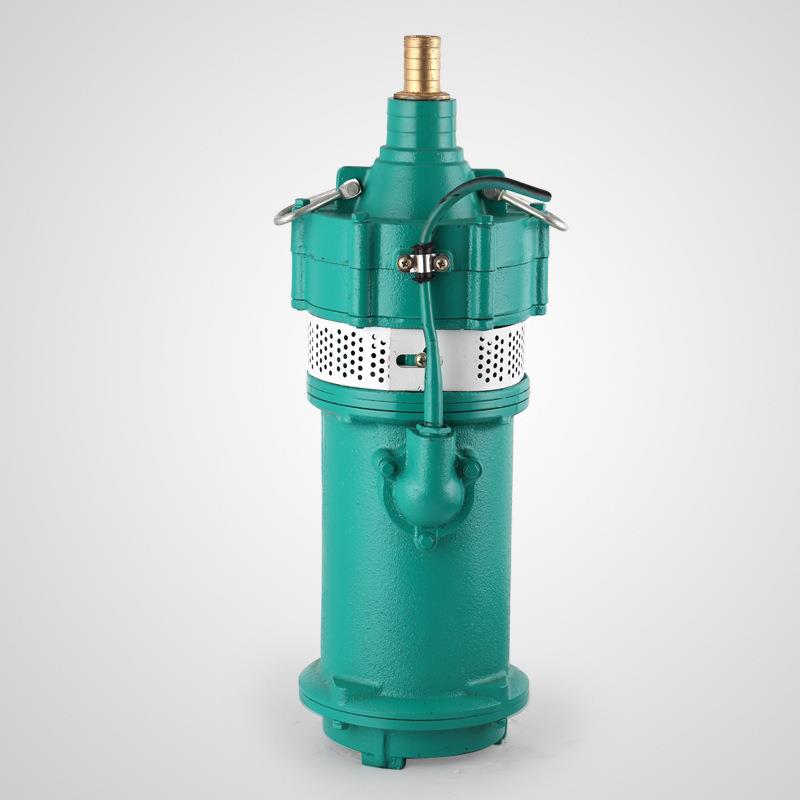 直销新款多节潜水电泵220V小型潜水泵高扬程清水泵小老鼠工地降水