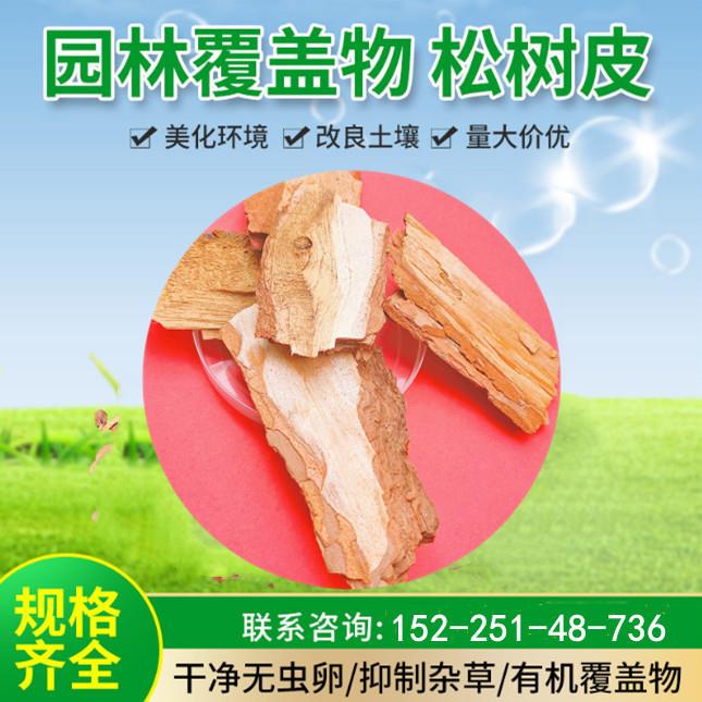 现货有机覆盖物松树皮滤料园林景观装饰用自然松鳞松树皮