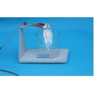 小动物惊厥实验架/惊厥试验架