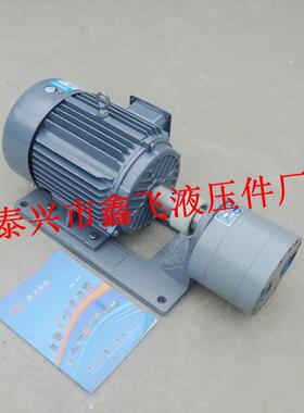 CB-B200DCB-B160TXCB-B250TXLB-B300大流量斜齿轮油泵电机组