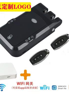 推拉平EQV门隐形遥控防盗门锁智能电子锁锁用采双移系统双马达拉