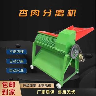 山杏家打用机器杏山桃去皮核起脱皮皮机分离CSS机杏肉李子去核机