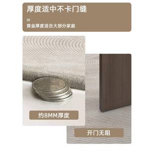 进ltao8040户滑门地约垫现代入户门地垫室外防耐脏地毯家用简大门