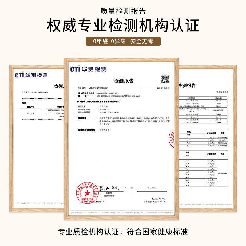 幸福树绿饰植客厅落式地花发财室内家PDD10261树居装摆件