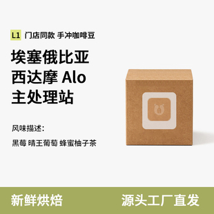 门店同款grid line西达摩日晒alo咖啡豆coffee手冲gird埃塞俄比亚