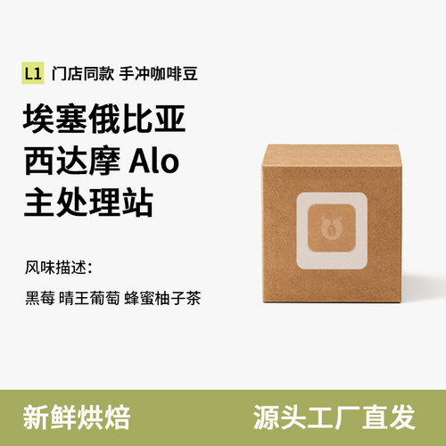 门店同款grid line西达摩日晒alo咖啡豆coffee手冲gird埃塞俄比亚