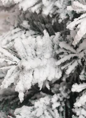 厂家直销亚马逊跨境新圣SYCT112诞节饰品PV品植绒装沾白积C雪圣诞