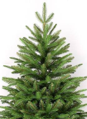 厂家加直销户外密装饰绿色仿真YH2060自圣商树240诞cmPVC场节日装