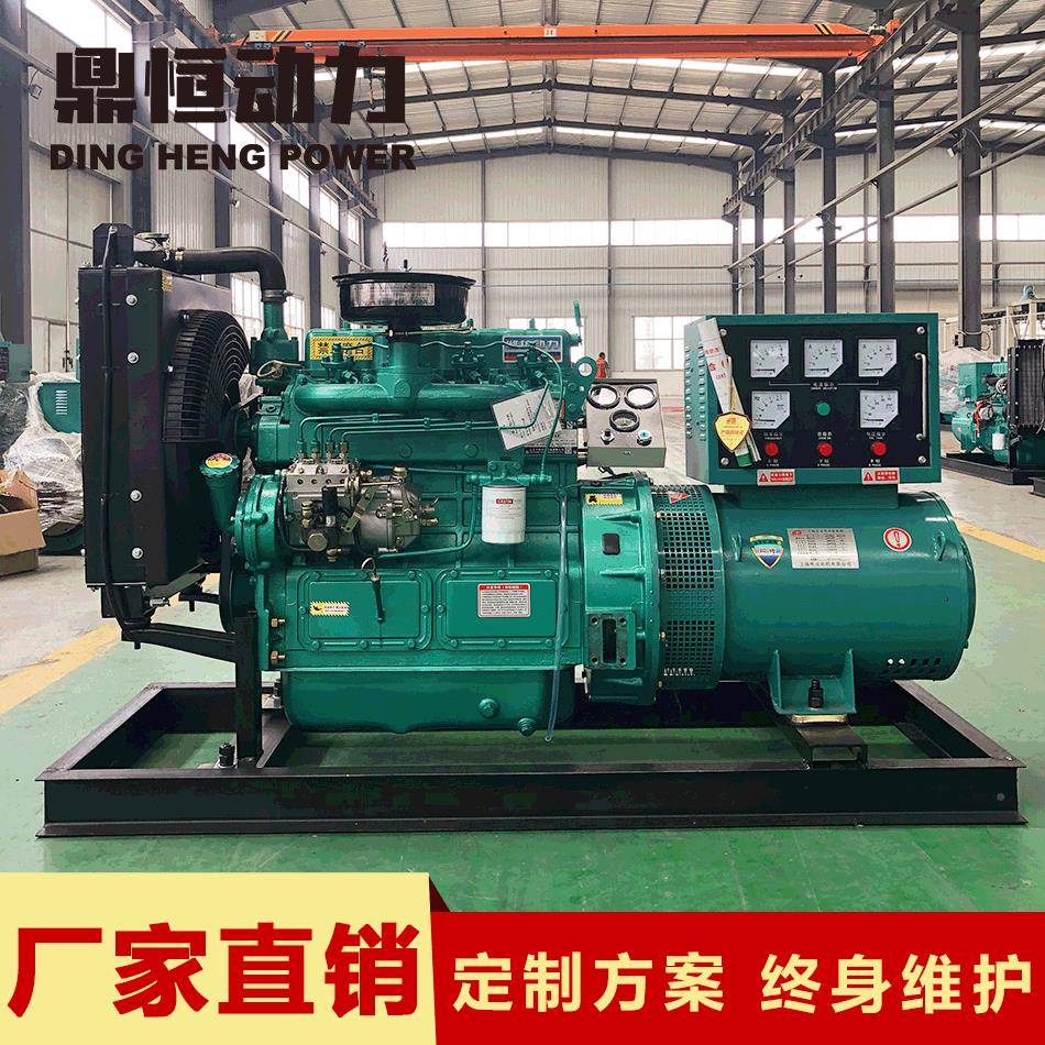 厂家生产30千瓦柴DH-30kw油发电组0养鸡养鱼酒店工地用3机K电W发
