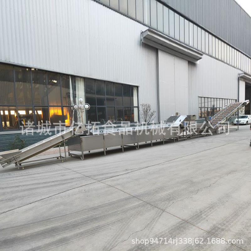 实体定制大型多功能果蔬清洗设备全自动蔬菜清洗机大型气泡清洗机