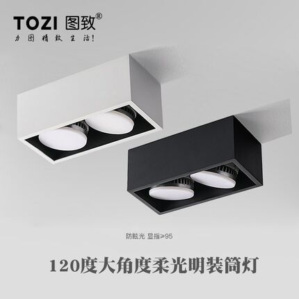 LED明装双头筒灯 无主灯天花灯吸顶方形防眩斗胆灯具