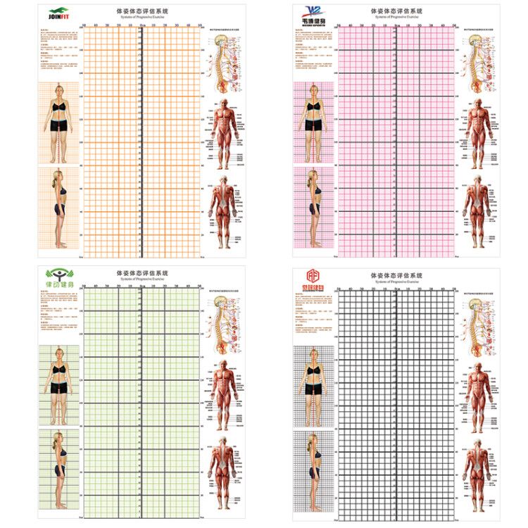 体态评估表瑜伽馆体态图健身房私教训练中心体姿体态纠正测评图表