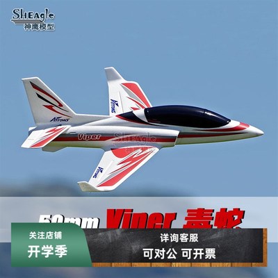 蓝箭50mm毒蛇涵道遥控航模飞机固定翼带飞控无刷高速大人模型玩具