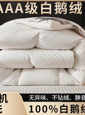 波兰羽绒被冬被春秋被空调被白z鹅绒被子被芯100白鹅绒被鹅毛被