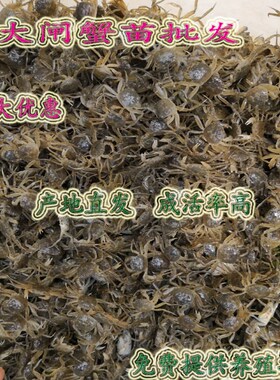 淡水人工b养殖大闸蟹幼苗杂交大品种螃蟹苗藕塘稻田鱼塘养殖蟹苗