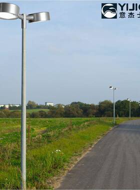 厂直供简约形双头景观灯街YJS-STTY道公庭园小区园林景观亮化工程
