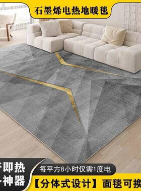 石烯电热地毯客厅地暖垫用加热地AL100778毯家室卧发热地暖毯墨移