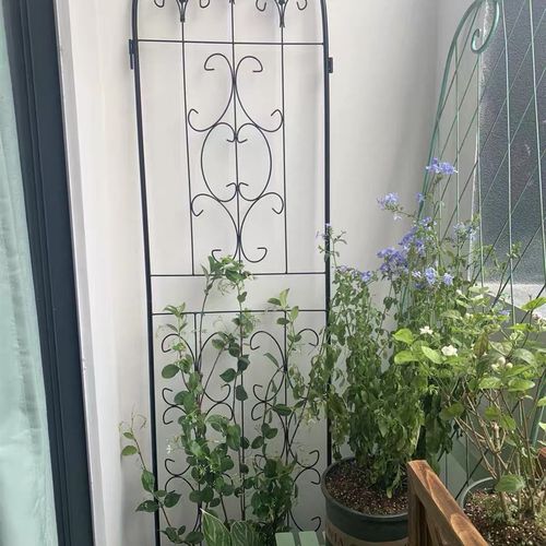 两片包邮高2.2米爬藤架花支架铁线莲月季架子靠墙屏风网格花插片